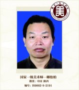 国家一级美术师——卿松柏